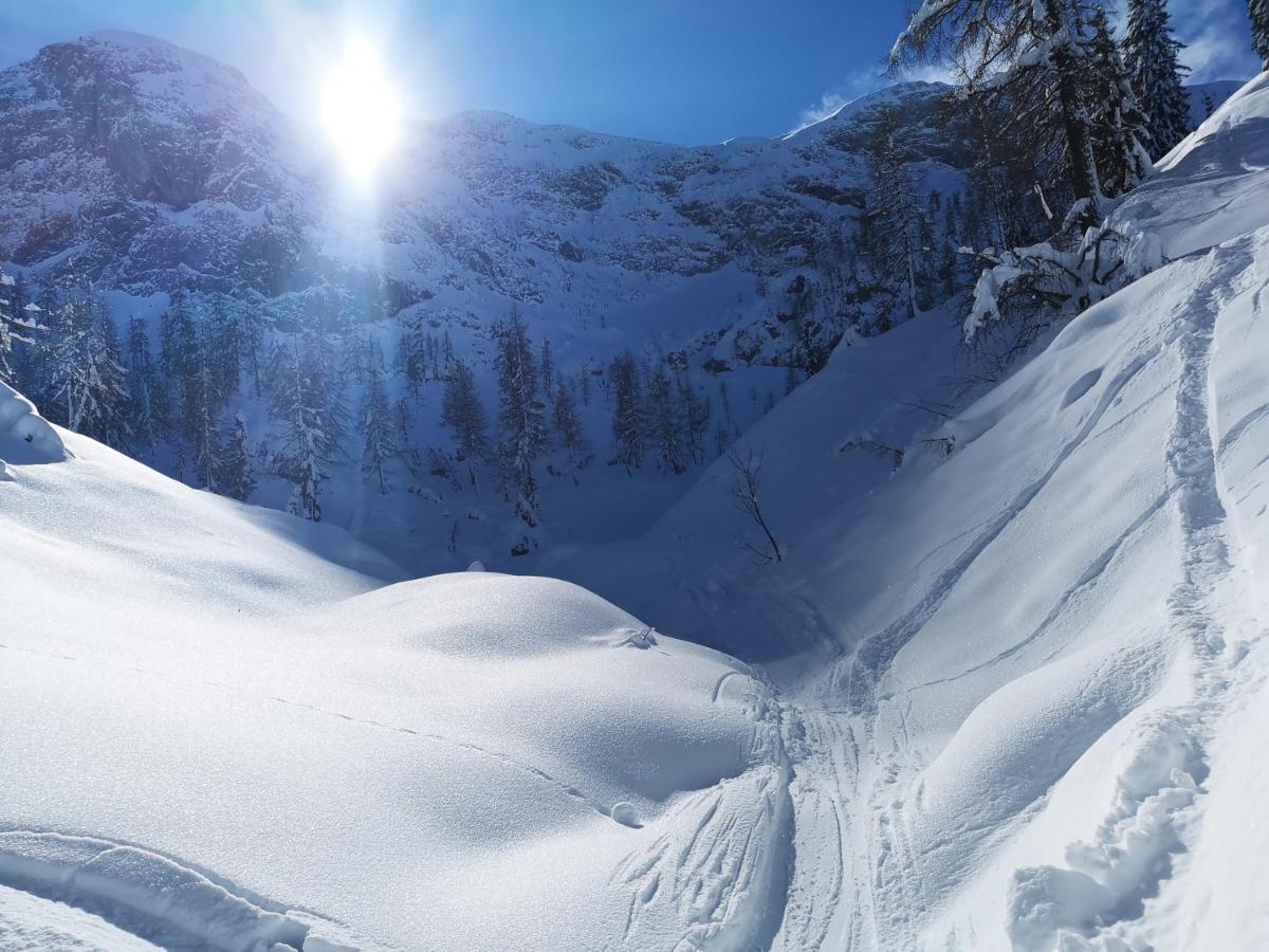 滑雪和自行车纳斯费尔德公寓 黑马戈尔 外观 照片