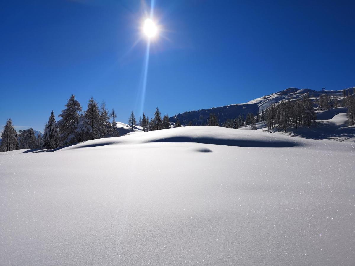 滑雪和自行车纳斯费尔德公寓 黑马戈尔 外观 照片